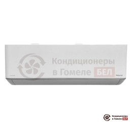 Roland RDI-WZ09HSS/N1