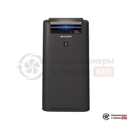Очиститель воздуха Sharp KC-G41RH