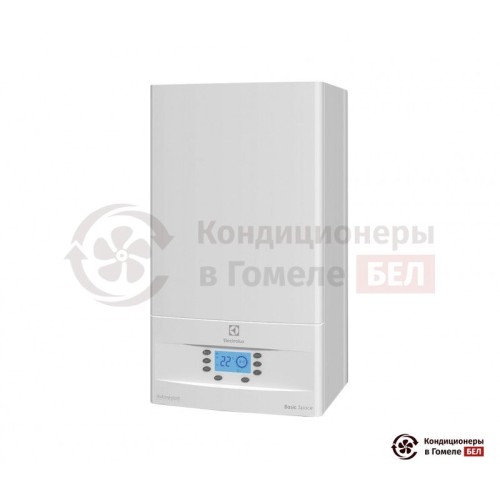  Настенный газовый котел Electrolux GCB 24 Basic Space Duo i в Гомеле