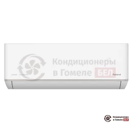 Roland RDI-WZ09HSS/N2