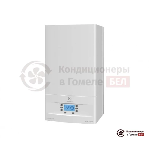  Настенный газовый котел Electrolux GB 30 Basic Space S Fi в Гомеле